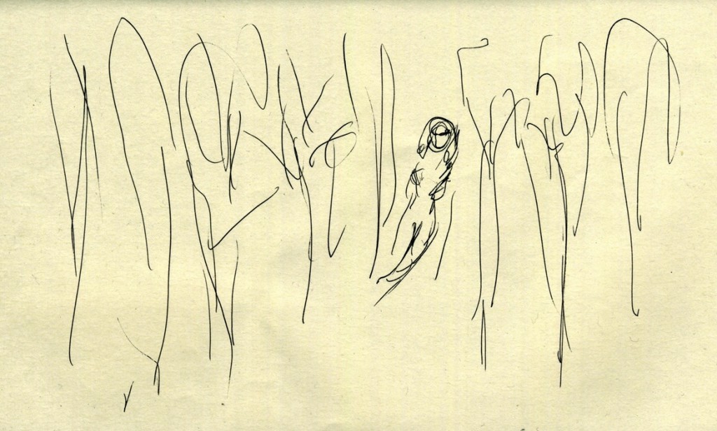 woman in the forest